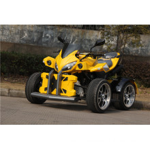 250cc Road Legal ATV with Big X Cover (jy-250-1A)